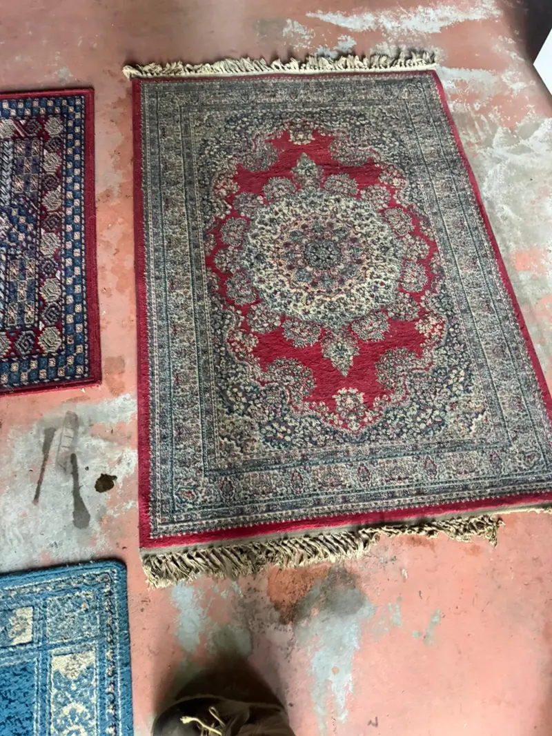 Clean patterned rug with red and blue detail laid out after professional cleaning