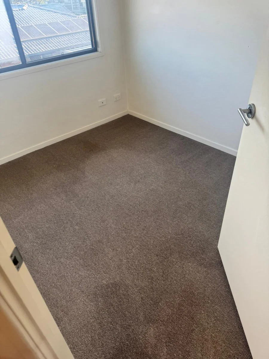Freshly cleaned carpet in a bright empty room